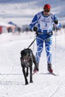 Lenk 2013